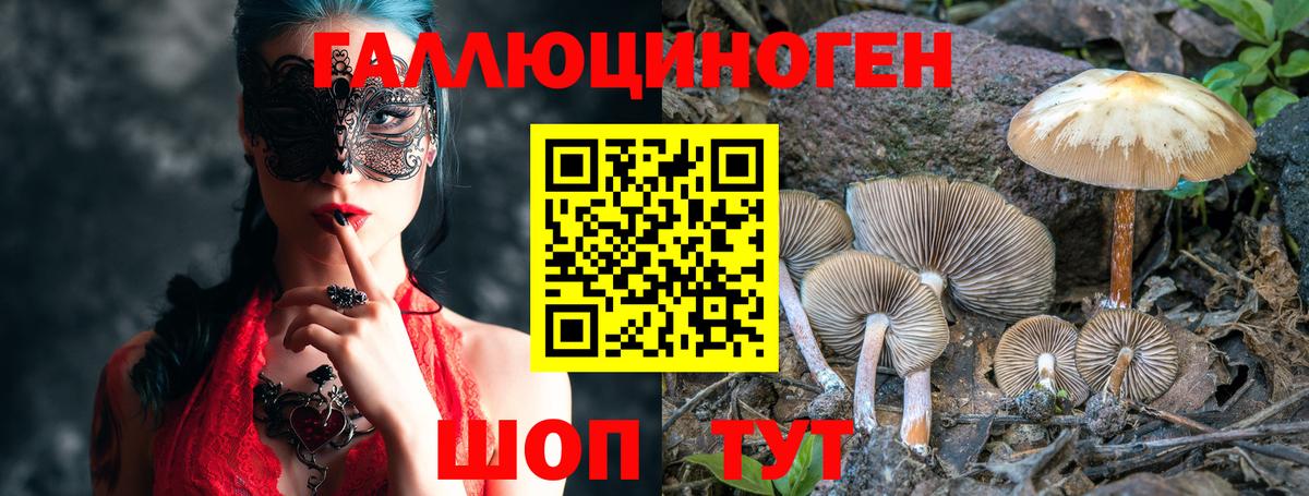 Псилоцибиновые грибы мухоморы  где найти   Пятигорск  Вход с VPN 