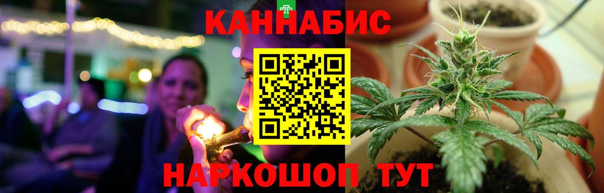 Бошки Шишки семена Пятигорск